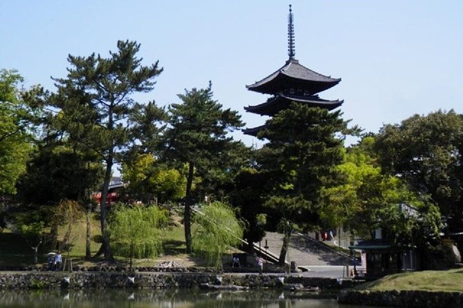 Nara Private Tour by Public Transportation from Osaka - Price and logistics: is $175.58 a good deal?