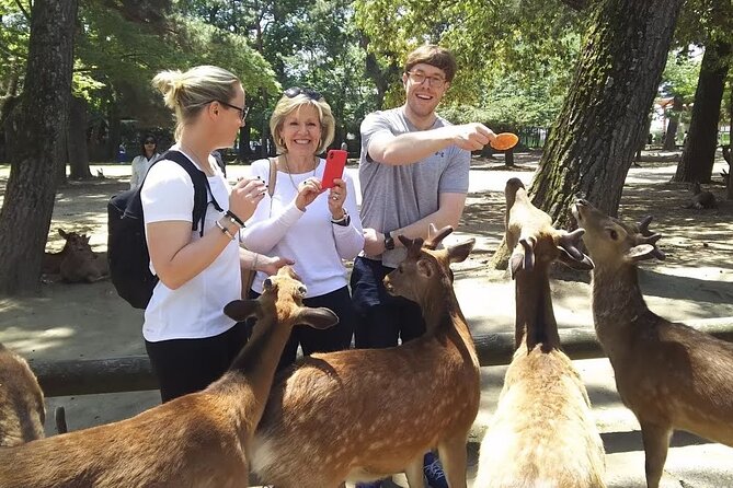Nara Private Tour: Flexible Pickup from Kyoto, Osaka, or Nara - Key highlights and what makes this tour worth your time