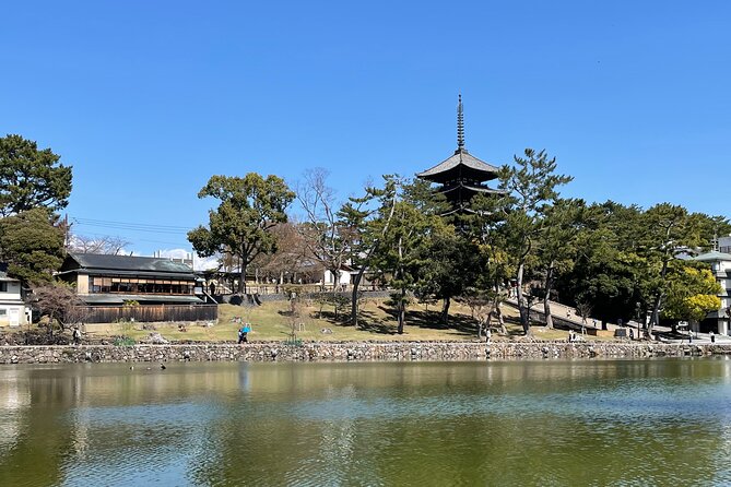 Nara Private Tour: Flexible Pickup from Kyoto, Osaka, or Nara - Kasuga Grand Shrine lanterns, deer as messengers, and forest atmosphere