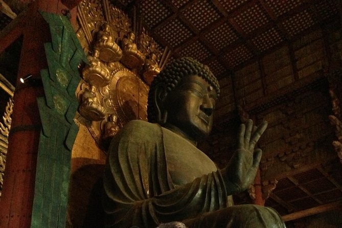 Nara private tour (Shore excursion available from Osaka or Kobe port) - Kasuga Grand Shrine and the deer circuit you will not forget