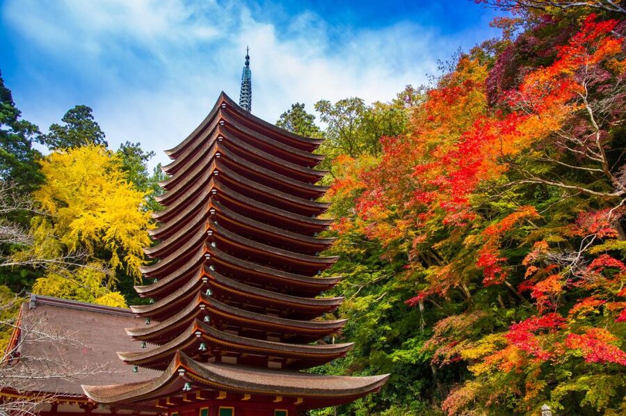 Nara: Private Tour with Private Guide - Key things that make this Nara tour worth your time