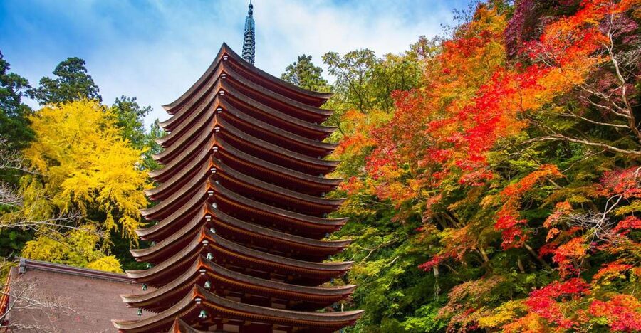 Nara: Private Tour with Private Guide - Meeting your guide, then walking your way through Nara