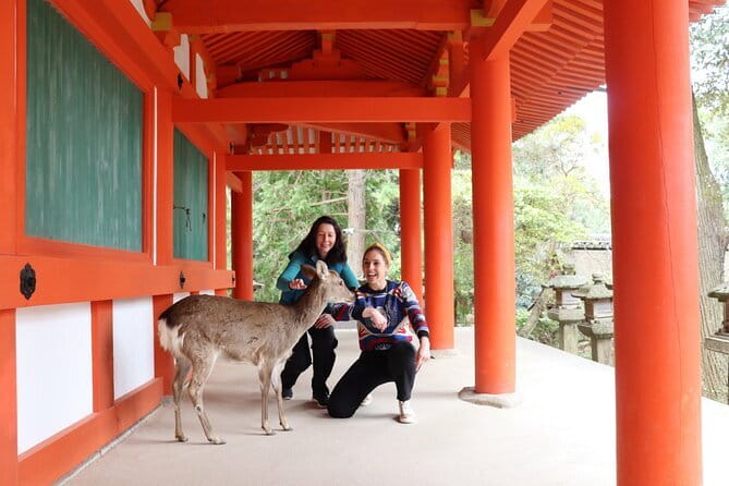Nara Sake Tasting Tour at Local Brewerie(tasting fee included) - What your guide actually brings to the table