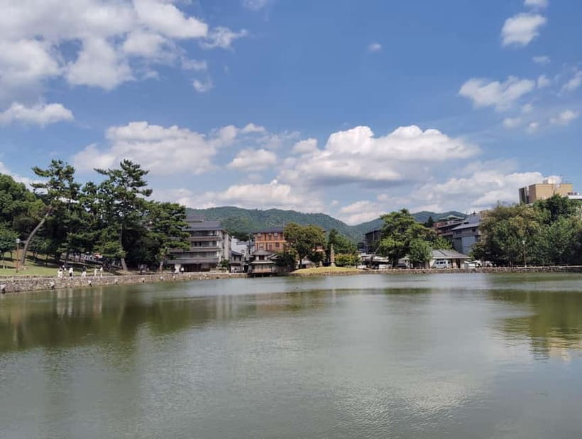 Nara: Sake Tasting Tour at the Birthplace of Japanese Sake - Price and value: what $119 buys you in real terms