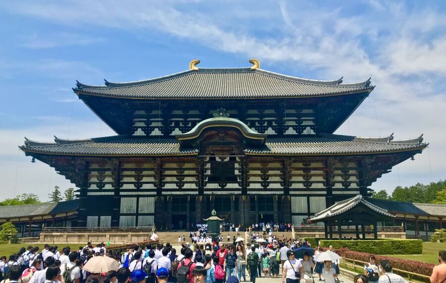 Nara: Todai-ji y parque de Nara (Spanish Guide) - A 5-hour Spanish loop built around Todai-ji and deer