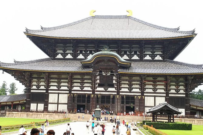 Nara Todaiji Lazy Bird Walking Tour - Why Nara feels different on a guided afternoon walk