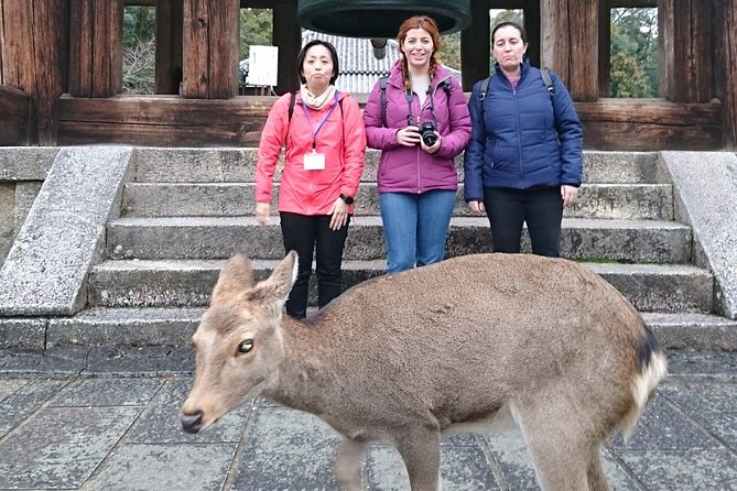 Nara Todaiji Lazy Bird Walking Tour - Stop 1, Nara Park: deer crackers and photo-ready moments