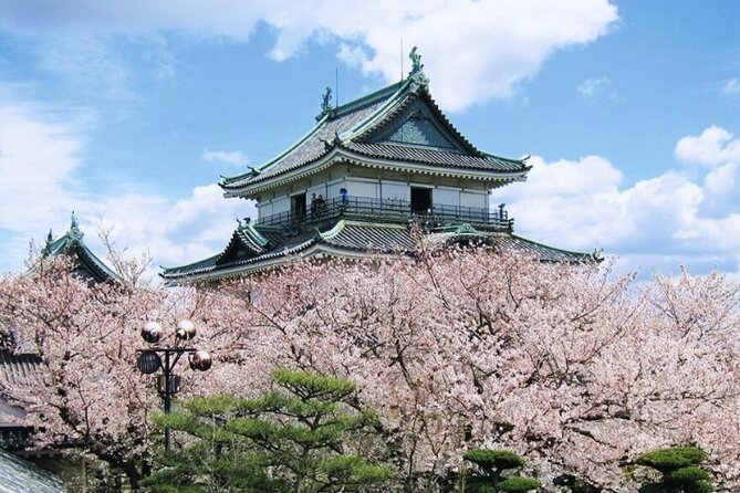 Nara, Todaiji Temple & Kuroshio Market Day BUS Tour from Osaka - Nara for sika deer and Todaiji: the main attraction that needs respect for fees
