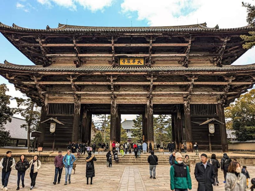 Nara: UNESCO Heritage Sites & Deer Park Tour with Pro guide - Key points worth caring about