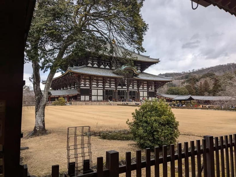Nara: UNESCO Heritage Sites & Deer Park Tour with Pro guide - A Three-Hour Nara Plan That Actually Fits Japan