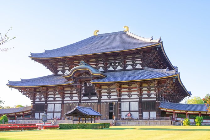 Nara World Heritage PRIVATE TOUR - Why Nara feels different when you do it with a guide