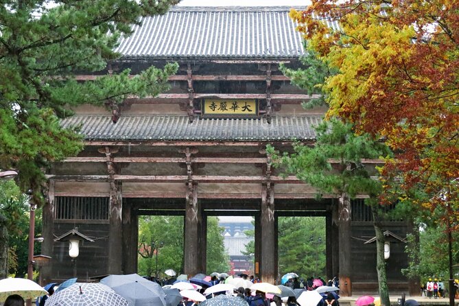 Nara World Heritage PRIVATE TOUR - What you really get from a private guide in Nara