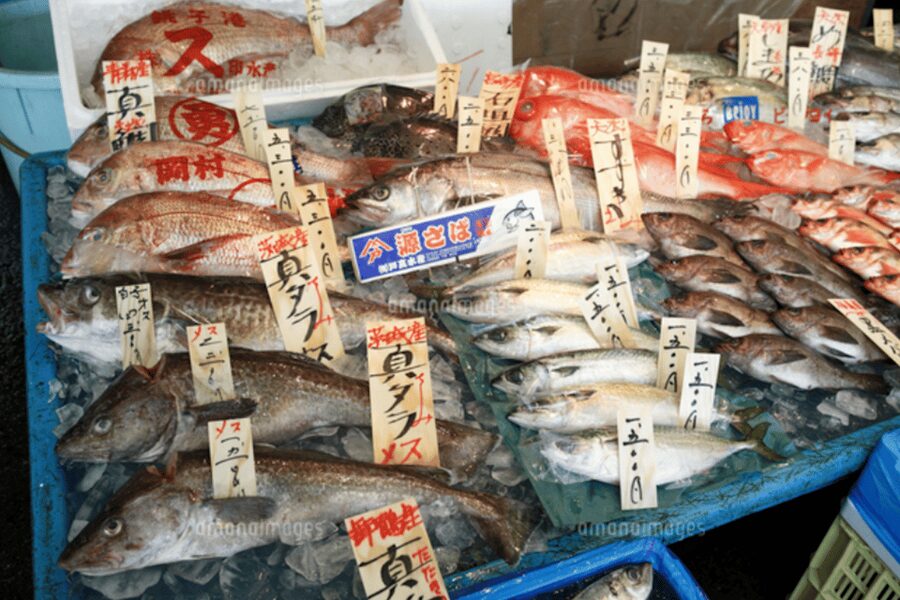 Niigata Private Custom Tour with Local Guide - Key things that make this tour work