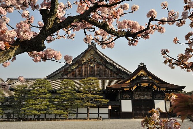 Nijo Castle Samurai Inside Story — Top-Rated Guide (Max 8) - How this compares to wandering Nijo Castle solo