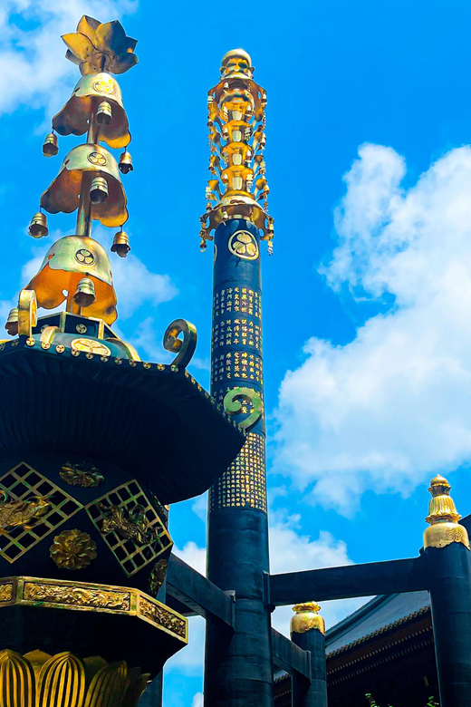 Nikko: Day Tour from Tokyo in Spanish - Spanish - Key points that make this Nikko day tour work