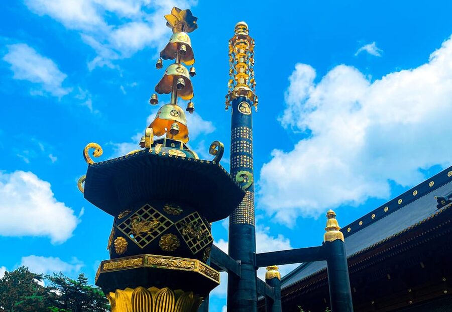 Nikko: Day Tour from Tokyo in Spanish - Spanish - Price and logistics: what $254 buys you