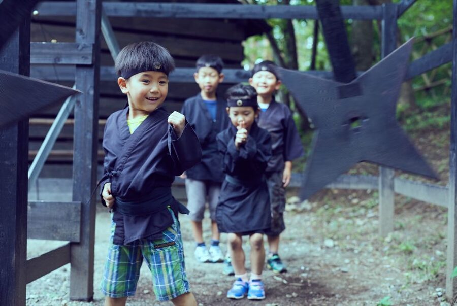 Nikko: Edo Wonderland Edomura Cultural Theme Park Ticket - Price and value: is $35 a good deal?