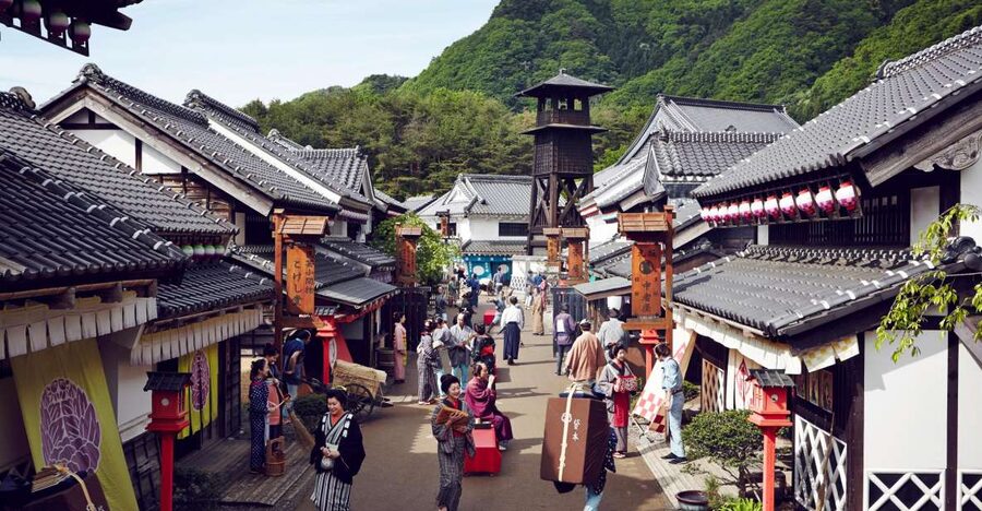 Nikko: Edo Wonderland Edomura Cultural Theme Park Ticket - Live performances: ninja, oiran, and other stage shows that do the work
