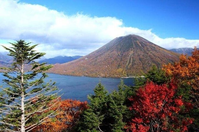 Nikko Full-Day Private Tour with Government-Licensed Guide - Shinkyo Bridge, Abyss Walks, and University-Owned Botanical Time