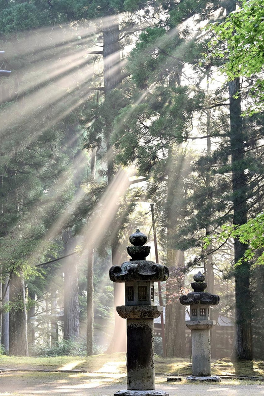 Nikko Heritage & Nature Day Trip from Tokyo - Shinkyo Bridge Over the Daiya River: A Photo Stop That Also Works Quietly