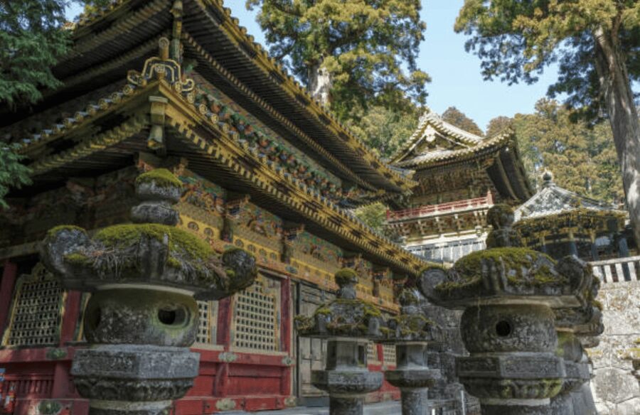 Nikko Private Custom Tour with Local Guide - Practical tips that matter for this exact tour