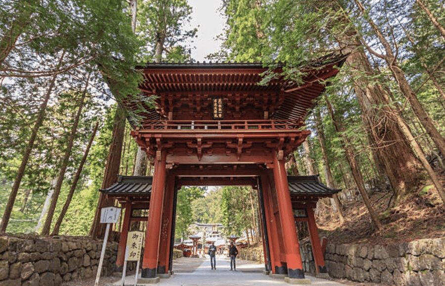 Nikko Private Custom Tour with Local Guide - Should you book this Nikko private custom tour?