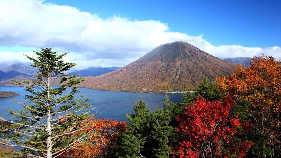 Nikko: Private Walking Tour with Local Guide - Best fit: who should book this private Nikko walk
