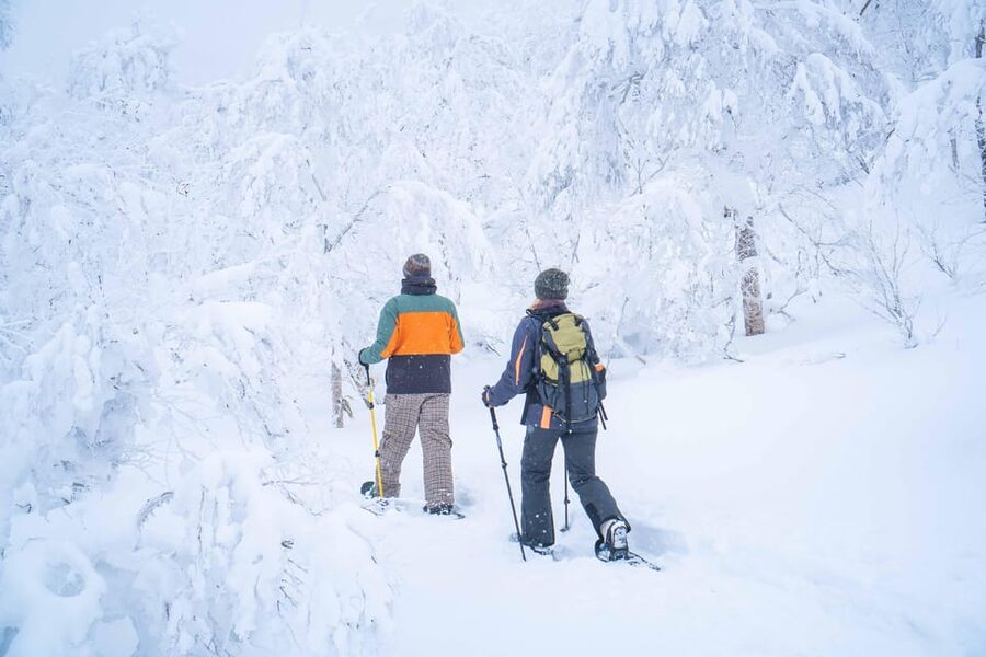 Noboribetsu: Orofure Pass Snowshoeing Tour - Key highlights to circle on your map