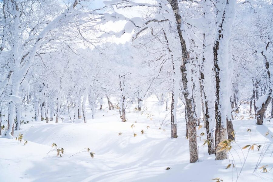Noboribetsu: Orofure Pass Snowshoeing Tour - Why Orofure Pass is a standout Noboribetsu winter stop