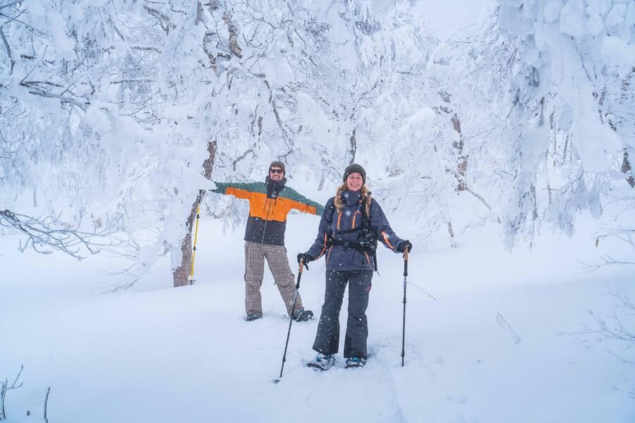 Noboribetsu: Orofure Pass Snowshoeing Tour - The 5-hour flow: forest crunch, snow monsters, ridge views, then lunch