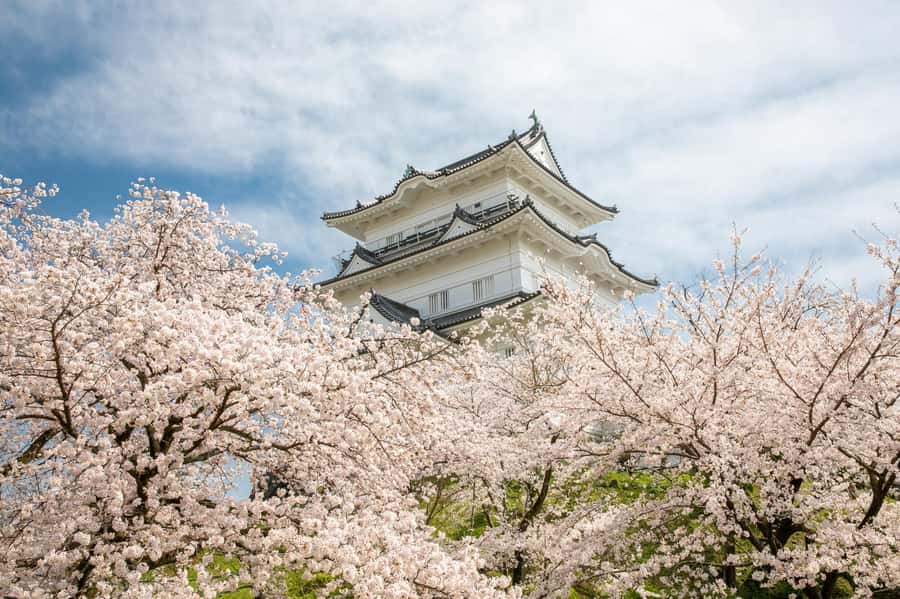 Odawara: Guided Ninja & Samurai Tour of Odawara Castle - Why Odawara is a smart choice if you are staying near Tokyo