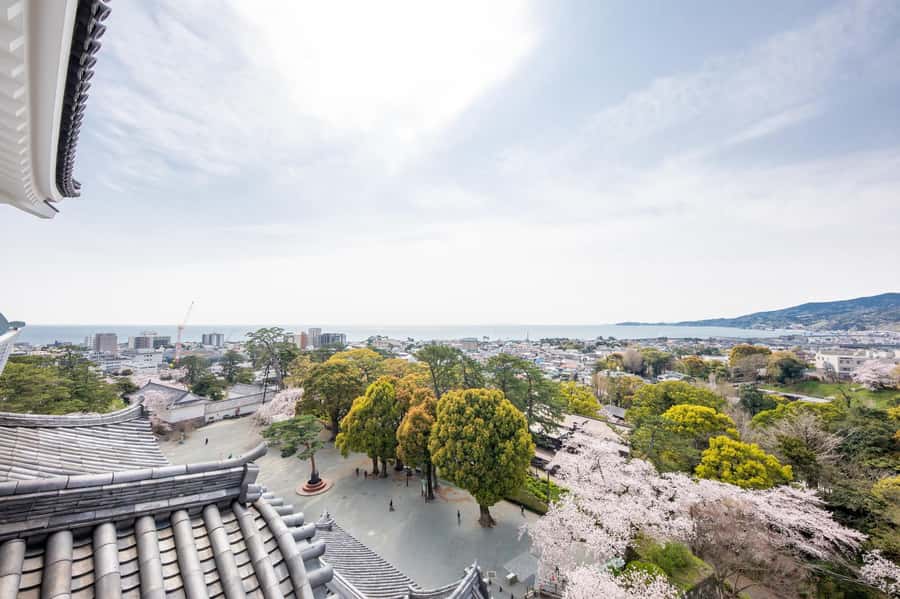 Odawara: Guided Ninja & Samurai Tour of Odawara Castle - Price and value: is $116 per person a fair deal?