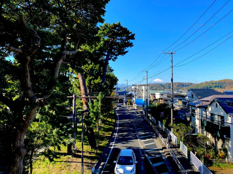 Oiso: Adventure Hike to See Mt. Fuji & Historic Coastal Walk - Who should book this Oiso hike and historic coastal walk