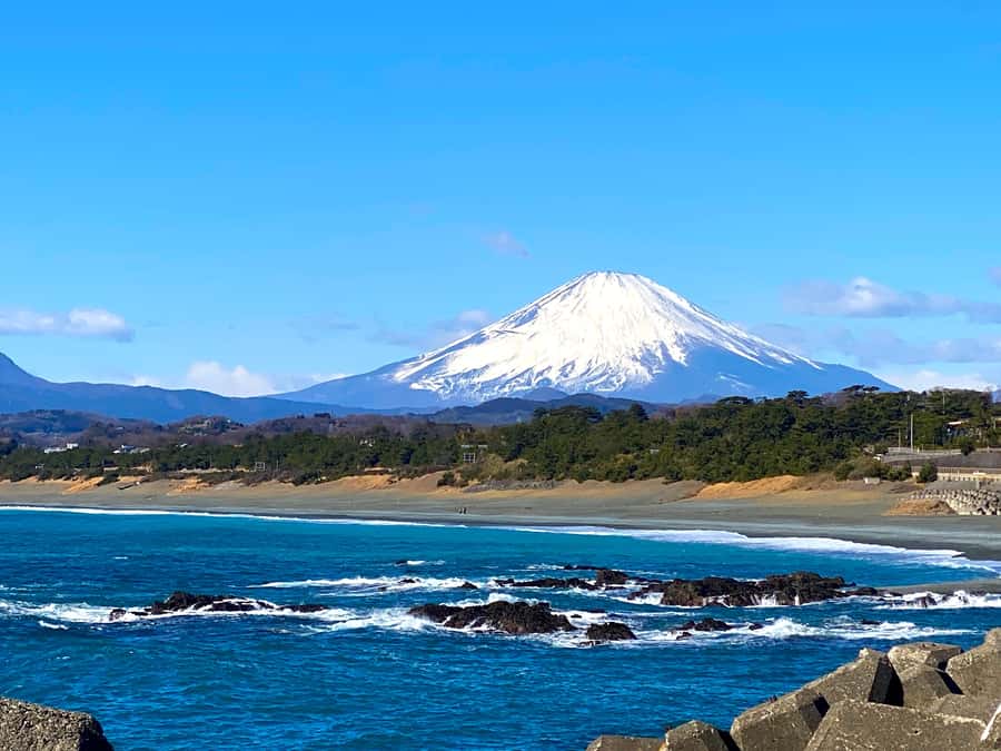 Oiso: Adventure Hike to See Mt. Fuji & Historic Coastal Walk - The return walk: tomb clusters, old Tokaido nostalgia, and Oiso townscape