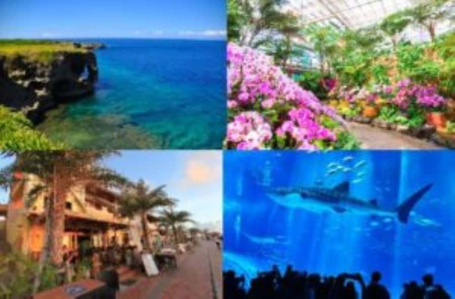 Okinawa: Bus Tour to Churaumi Aquarium with Sightseeing - Kariyushi Beach glass boat: seeing Okinawa’s water up close