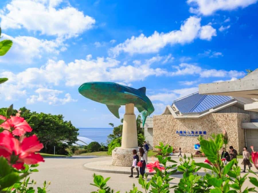 Okinawa: Bus Tour to Churaumi Aquarium with Sightseeing - Pickup times, seating reality, and how the bus day feels
