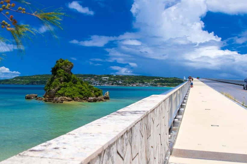 Okinawa Churaumi or Tropical, Kouri American Village BusTour - Ocean Expo Park: choose between Churaumi Aquarium and Tropical Dream Center