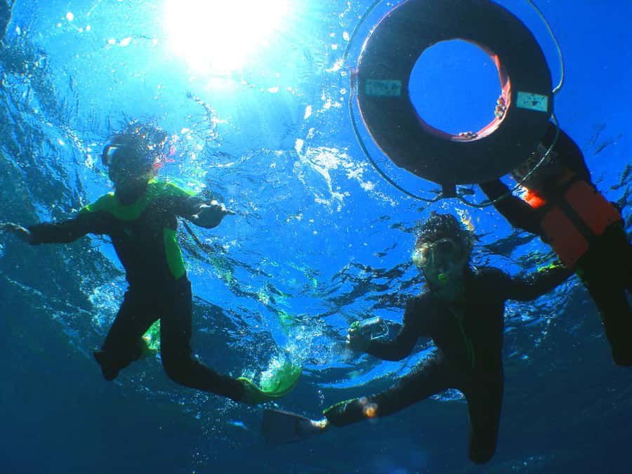 Okinawa: From Naha: Kerama Islands 1-day snorkeling tour - Reef etiquette and safety rules you should respect