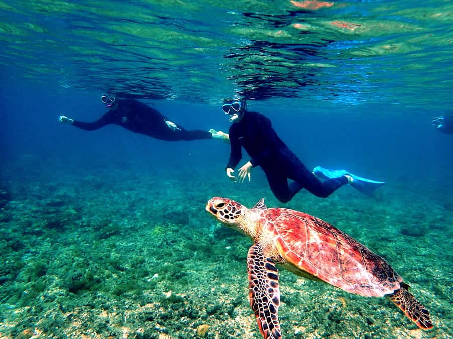 Okinawa: From Naha: Kerama Islands 1-day snorkeling tour - The snorkeling stops: Tokashiki, Zamami, and Aka, plus what you can expect at each