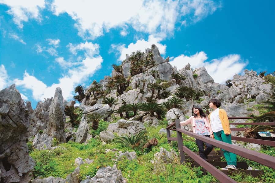 Okinawa: Full-Day Bus Tour to Yanbaru National Park - Key highlights you should care about
