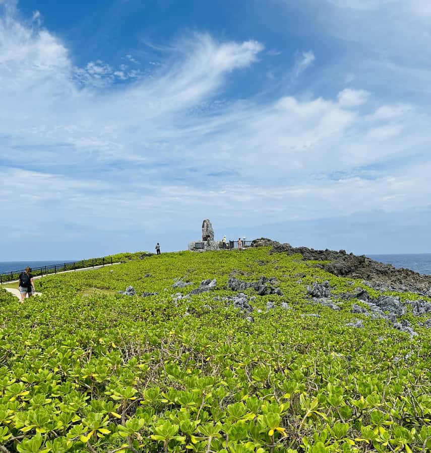 Okinawa: Full-Day Bus Tour to Yanbaru National Park - The live guide plus multilingual audio guide combo