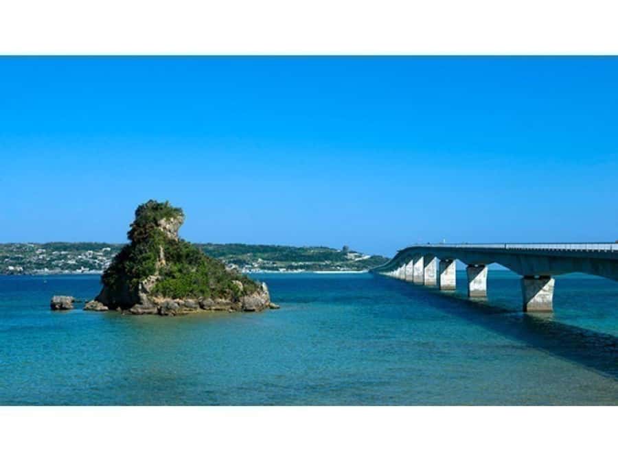 Okinawa: Full-Day Bus Tour to Yanbaru National Park - Price and value: what $98 gets you on this full-day route
