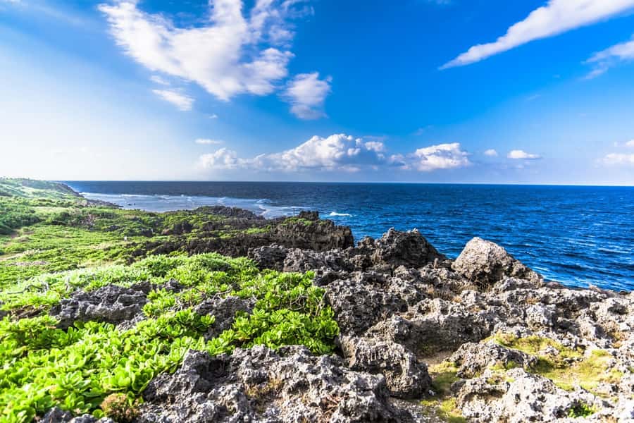 Okinawa: Full-Day Bus Tour to Yanbaru National Park - Yanbaru visitor education: where the day’s nature starts