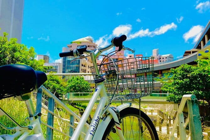 Okinawa HIP-HOP BUS A Course Tour | Churaumi Aqualium,Kori Island - Stop 1 in Nago Pineapple Park: the cart ride and tasting time