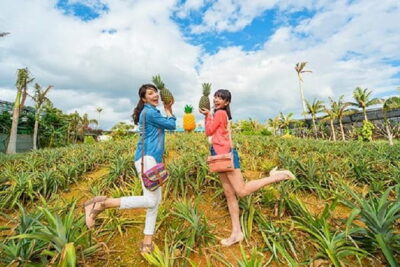 Okinawa HIP-HOP BUS A Course Tour | Churaumi Aqualium,Kori Island
