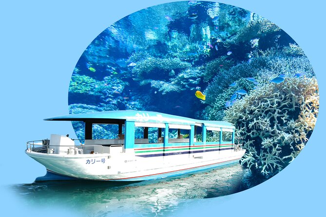 Okinawa HIP-HOP BUS B - 1 Course Tour (Okinawa Churaumi Aquarium) - Cape Manzamo and Elephant Rock: 30 minutes of sea and cliffs