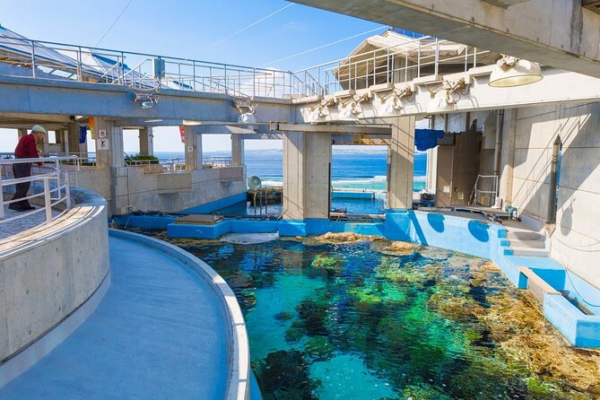 Okinawa HIP-HOP BUS B - 1 Course Tour (Okinawa Churaumi Aquarium) - Price and value: what $59.46 really covers