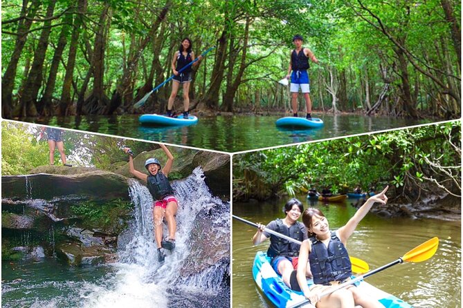 Okinawa Iriomote Mangrove SUP or Canoe and Splash Canyoning Tour - Key highlights at a glance
