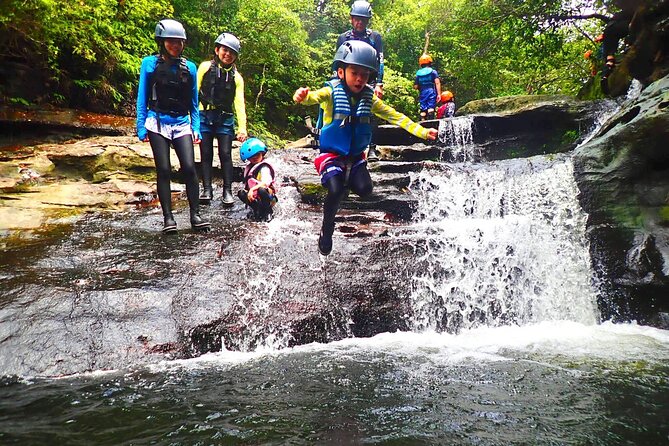 Okinawa Iriomote Mangrove SUP or Canoe and Splash Canyoning Tour - Stop 1: Iriomote-jima, where the mangrove setting does the heavy lifting