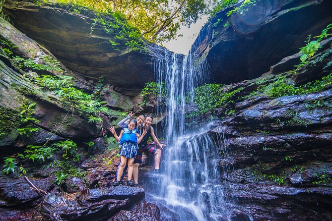 Okinawa Iriomote Mangrove SUP or Canoe Tour - Key Highlights You’ll Care About Before You Go